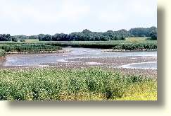 Elbwatt bei Winsen-Laßrönne